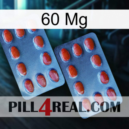 60 Mg 05